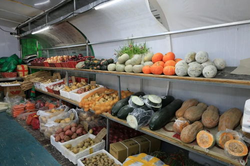 除夕不打烊！海淀北部水鄉市場 鮮貨滿溢，百貨齊全